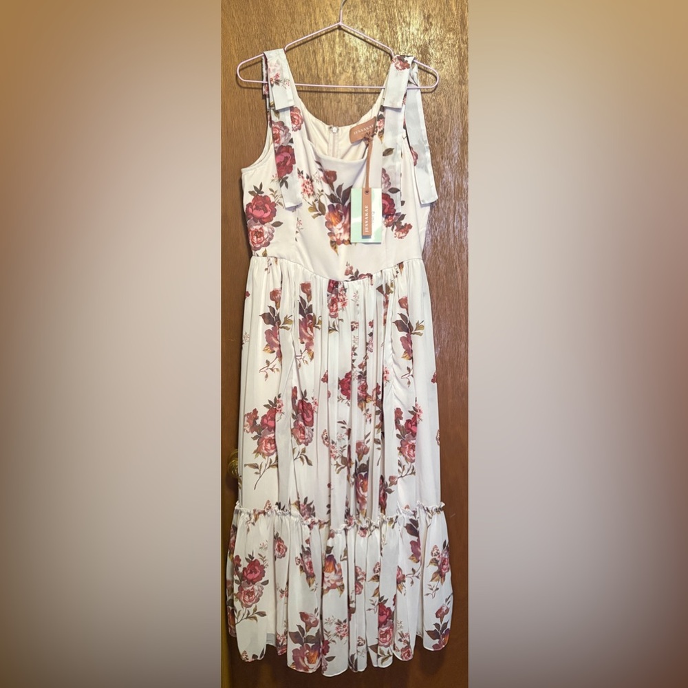JessaKae Pepa dress. Size XL